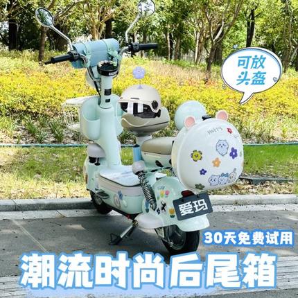 大容量爱玛小牛电瓶车通用雅迪电动车后备箱收纳包密码锁尾箱储物