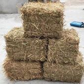 包邮 屋顶屋檐室内外稻草装 饰干新稻草帘子草垛凳子麦草牛草喂羊草