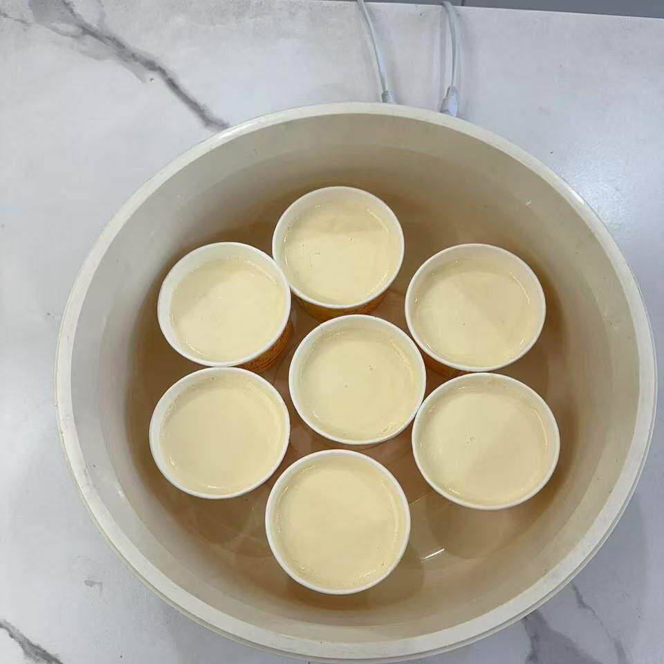 果玉酸奶机家用奶皮子发酵机酸奶发酵全自动恒温酸奶发酵机分杯