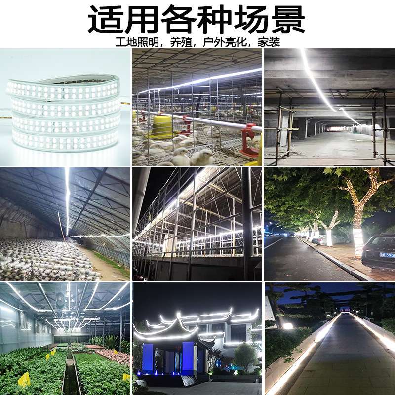 led灯带100米220V户外工程照明户外防水养殖塔吊工地地下室24V36V