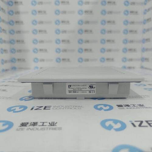 RUBSAMEN&HERR排气过滤器GV250