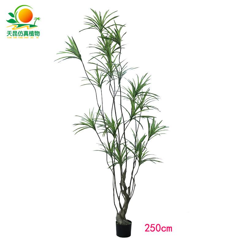 仿真c3植仿真吊兰盆栽酒店血家居橱窗装饰新品仿真龙仿树真植绿物