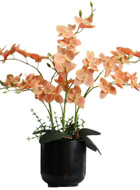 中仿式真蝴蝶兰花艺件假创花绢摆花装饰客厅电视2023010柜室内盆