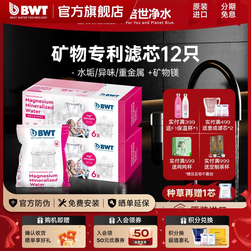 BWT倍世滤芯德国净水壶过滤水壶净水器通用碧然德进口镁离子滤芯