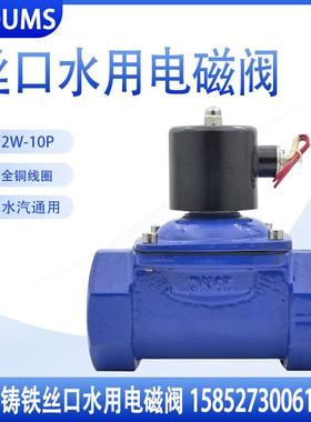 2W球墨铸铁丝扣水用电磁阀24V220V常闭直动式电磁开关阀DN5065 80
