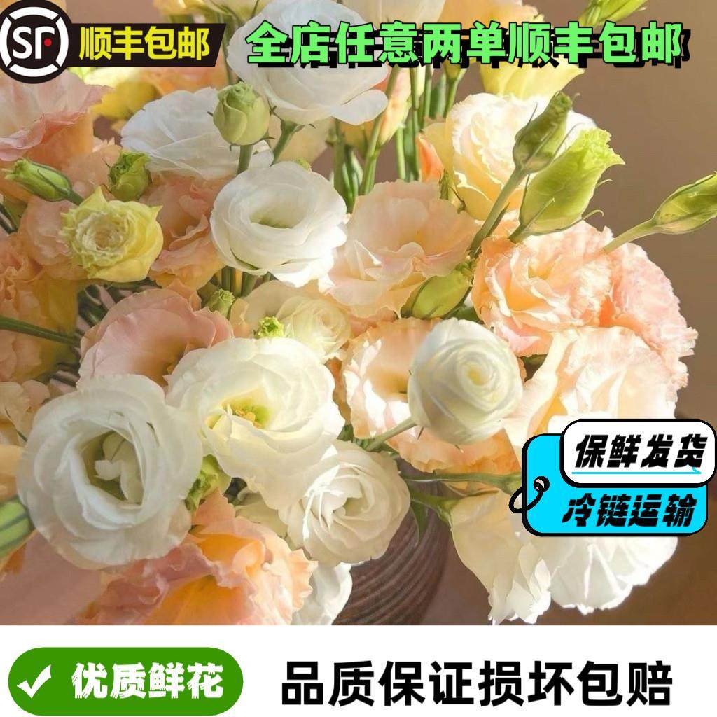 无刺玫瑰洋桔梗鲜花礼物花束室内水培家用花插花云南基地直发