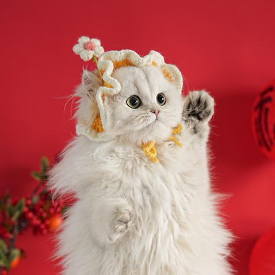 猫帽子宠物头饰可爱手工钩织毛线头套猫咪服饰小型犬幼犬配饰