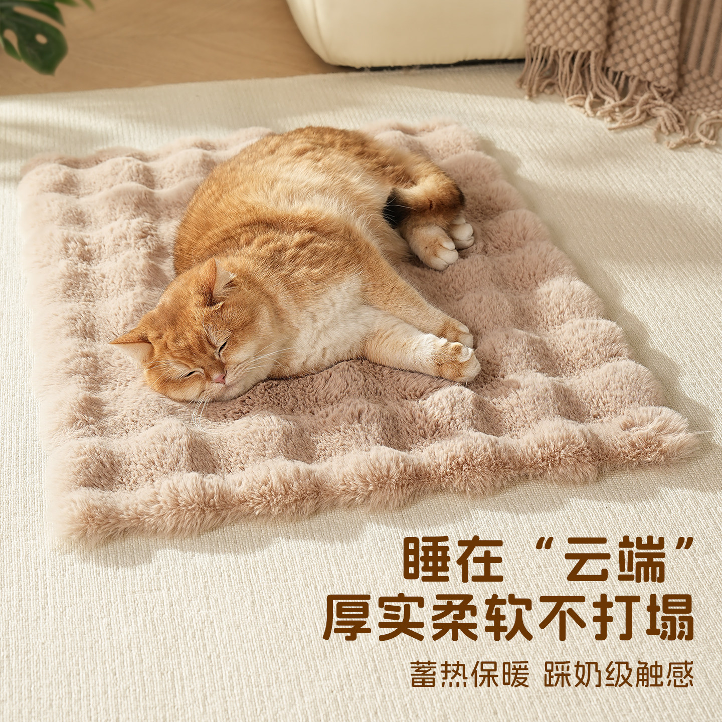 宠物毛毯冬季保暖猫窝垫子幼猫毯子中小型犬比熊猫狗垫子狗窝垫,宠物/宠物食品及用品,猫窝/屋/帐篷/沙发,淘宝优惠券,粉丝福利购,淘宝优惠卷