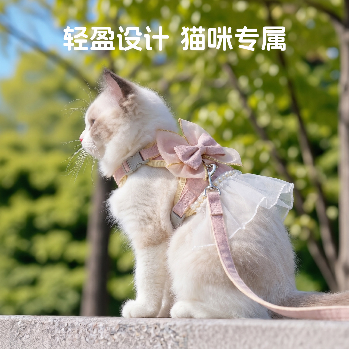 猫咪牵引绳防挣脱外出专用透气胸背猫绳子可爱蝴蝶结宠物溜猫神器图片