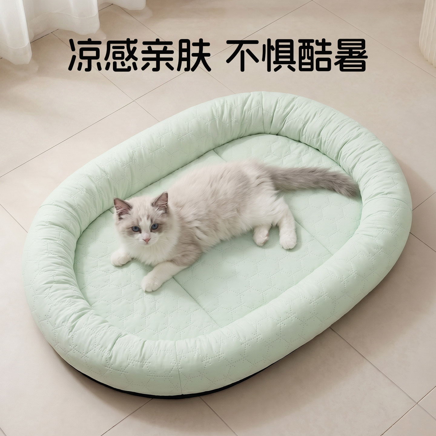 猫窝夏季透气降温冰丝乳胶垫幼猫小猫睡垫夏日凉垫狗狗宠物用品垫图片