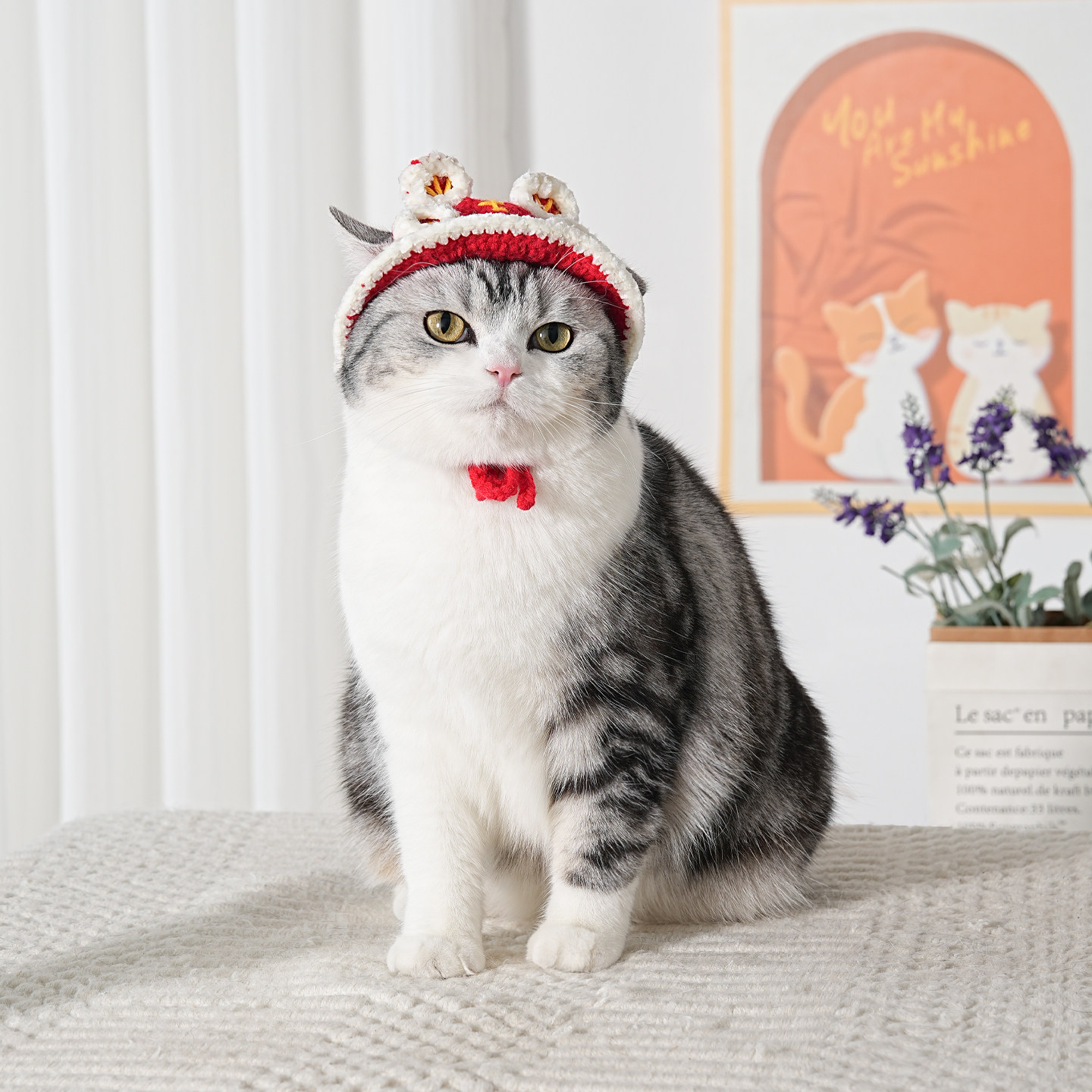 猫咪帽子新年醒狮喜庆发饰小猫过年配饰可爱小型犬宠物狗狗头套,宠物/宠物食品及用品,帽子,淘宝优惠券,粉丝福利购,淘宝优惠卷