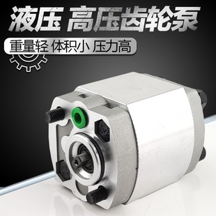 F1.6 5.8举升机动力单元 2.1 3.2 油泵 2.6 液压微型高压齿轮泵CBK