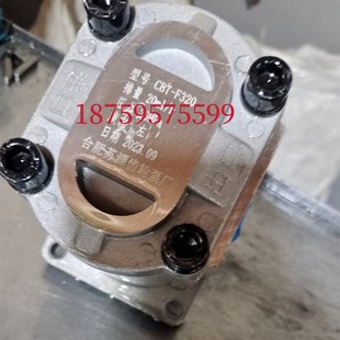 F310 F320液压帮浦 合肥苏源齿轮泵 CBT