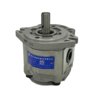 320 CFH 304 ALP 202 425 316 310 306 合肥长源液压齿轮泵CBW