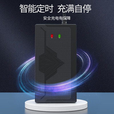 适用倍特电动车电瓶充电器48V12ah20AH60V72V30AH电车三轮车通用