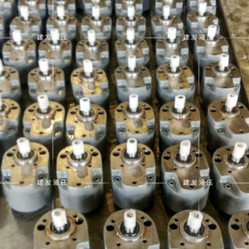 CB-B10/B6/B4/B16/B25/B32/B40/B50/B63/B80/B100/B125钢齿轮油泵