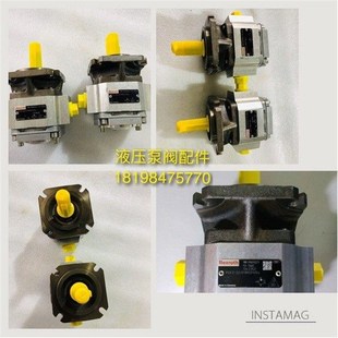 016RE01VE4液压油泵 006RA20VP2PGF2 力士乐齿轮泵PGF2