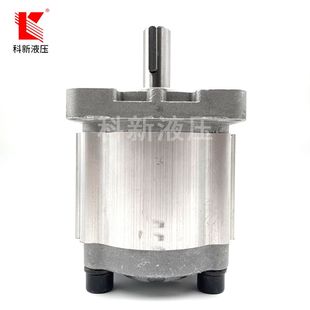 齿轮泵CBN F304F306F308F310F312F314F316F318F320F325液压油泵厂