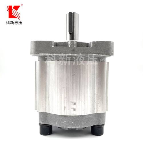 齿轮泵CBN-F304F306F308F310F312F314F316F318F320F325液压油泵厂