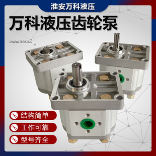 F314 F310 F306 F320 F316淮安万科液压 齿轮泵 F325 液压油泵CBN