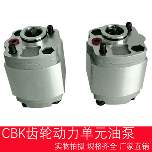 1.6液压齿轮油泵 F2.1 齿轮泵小型液压动力单元 配件微型齿轮泵CBK