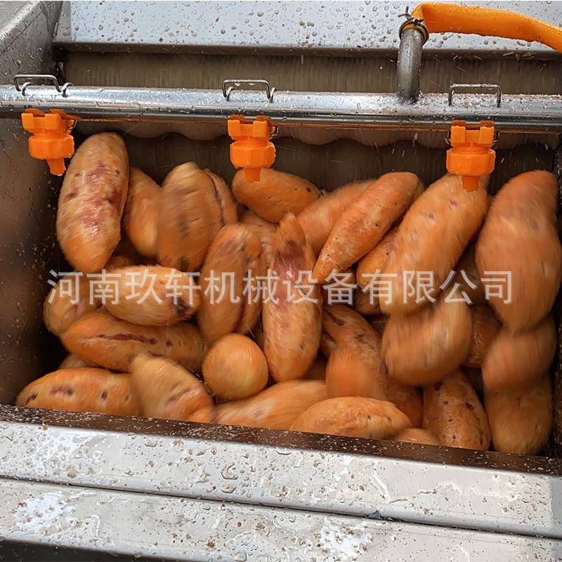 全自动毛刷土豆清洗机红薯地瓜毛辊清洗去皮机