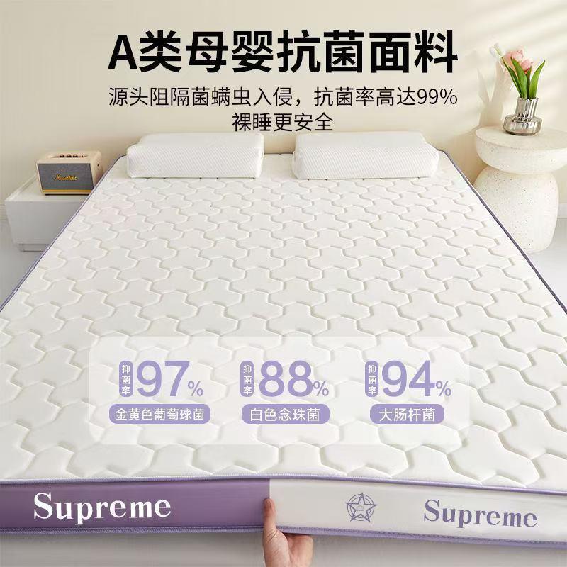 乳胶记忆床垫学生宿舍加厚软垫子单人海绵垫可折叠家用床垫