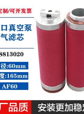 71417300莱宝真空B泵油气分S45020V6离5B排气滤芯S2V100油雾分离S