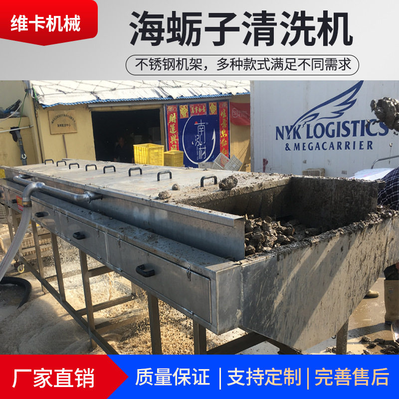 诸城厂家直供海蛎子毛辊清洗机