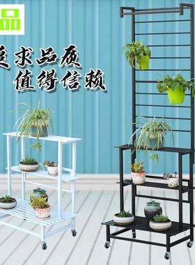 阶梯式花架室内阳户33483外层落地台铁艺挂爬藤架靠墙网红架子花
