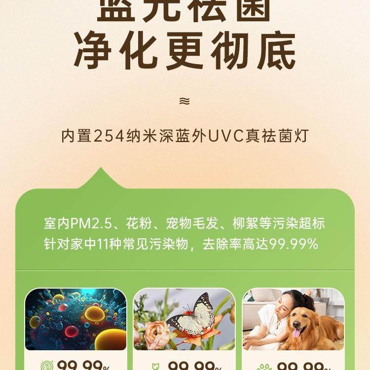 烟空气净化10066906器化家用除甲醛面小型除臭桌味宠物猫毛负离子