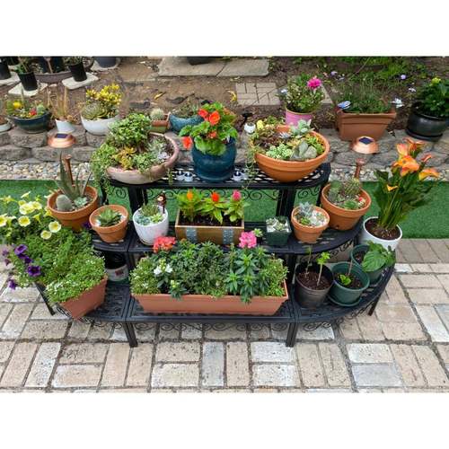 花架置物架阳台铁式艺梯落地院多层户阶外庭窗台81565多肉花盆架