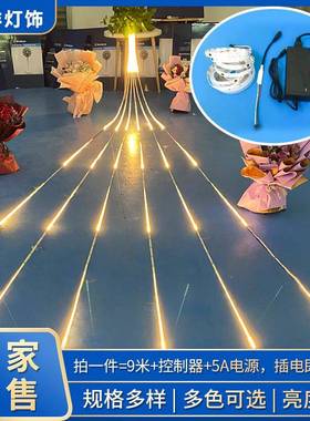 黄色l流e无品牌/d水幻彩灯带家低压12v线型超亮跑水马灯具流追光