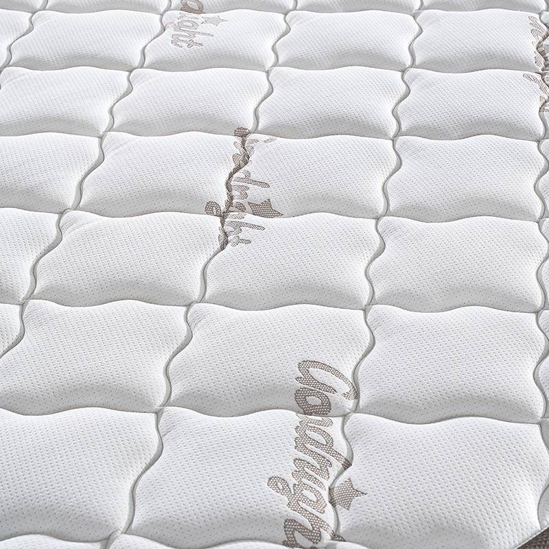 床垫防螨乳胶两床垫椰棕乳胶护脊弹簧.F75685MT1席梦家用软硬用.8