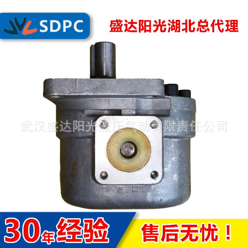 直销河北上海合肥等电动齿轮泵CB-E550CB-F550质保一年
