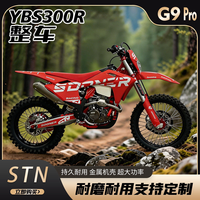 斯托纳赛车 STN/G9/Pro/YBS300R 新款两轮山地大越野 林道场地高