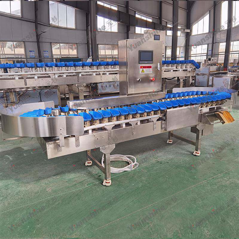 海鲜重量分黄选机鱼花鱼重量分选机全K自动鲳类分鱼选机
