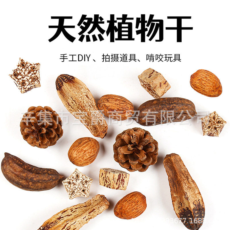 鹦鹉鸟磨嘴啃咬天然杨桃果干木芒果松果玩具虎皮玄凤牡丹可食用品图片