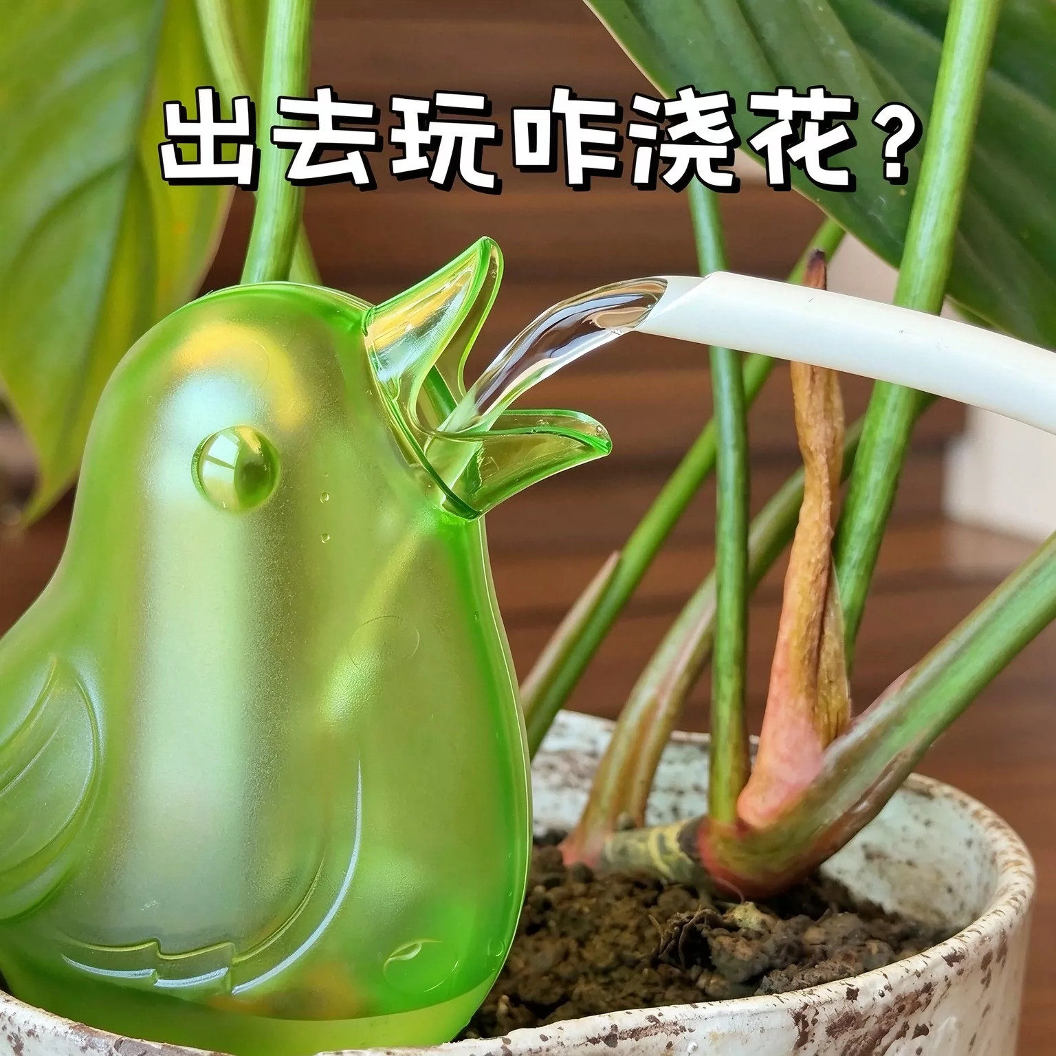 浇花省心神器!小鸟自助懒人浇水器家用自动滴水出差旅游盆栽养花