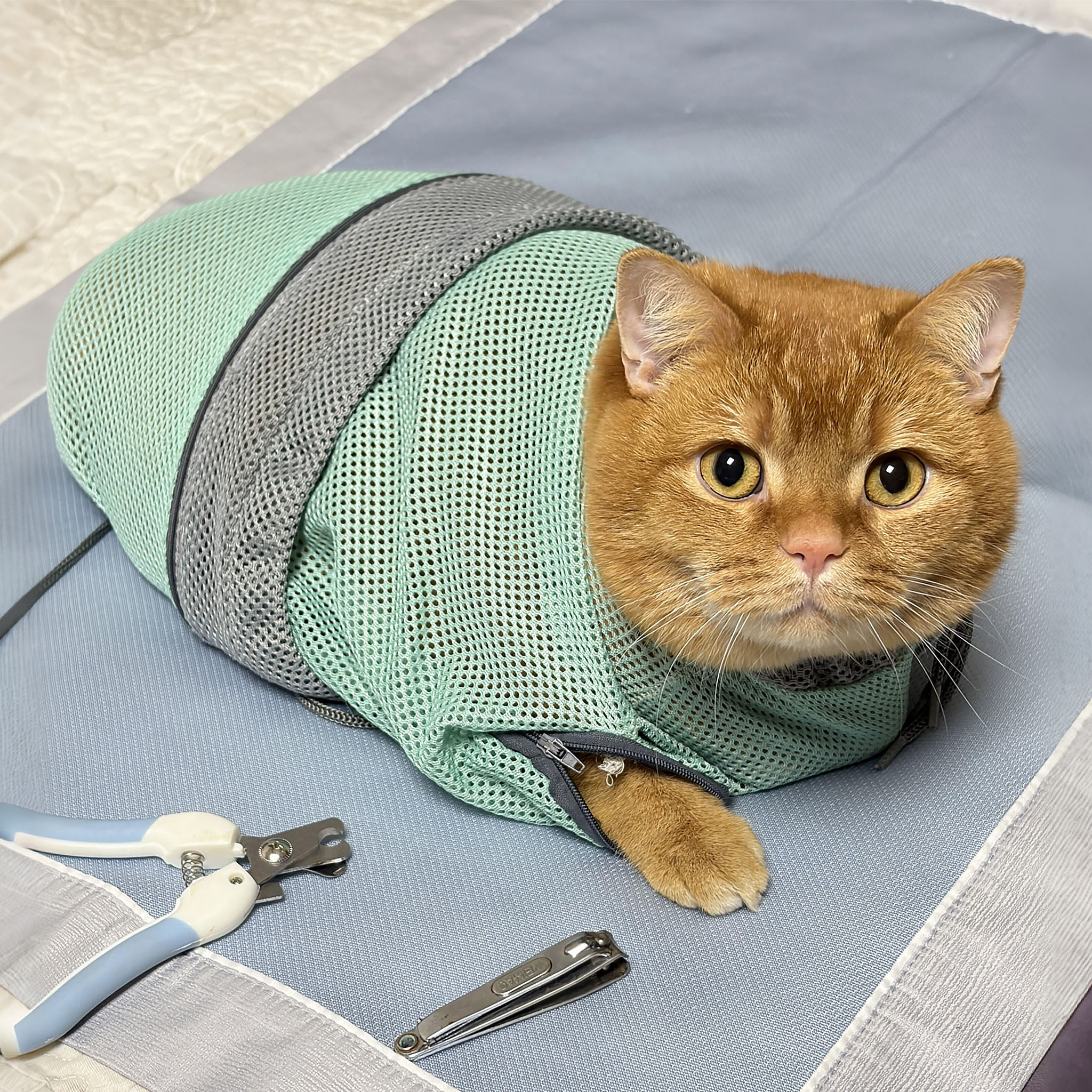 【美容神器】洗猫袋猫咪剪指甲掏耳朵束缚带宠物护理防抓咬固定袋