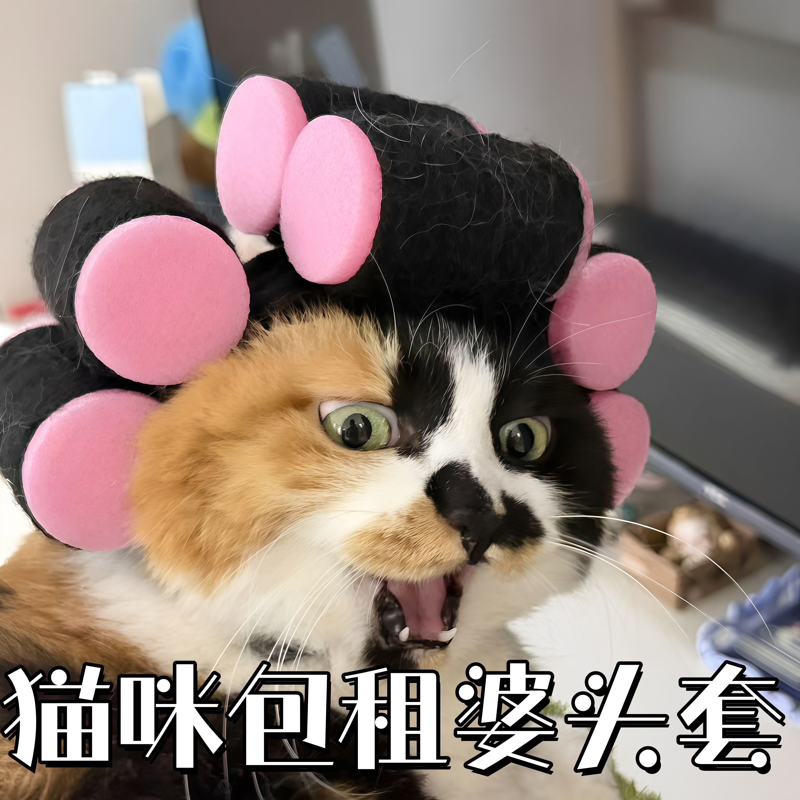 猫咪包租婆头套抽象韩国卷发烫发大卷帽子可爱宠物拍照出片小道具