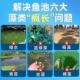 鱼缸除藻苔剂速清灵水去池绿丝藻苔青清除克专用药IXO生物净星水