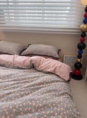 公主风套花边款奶绒冬床上牛四件套珊瑚绒法CJY兰绒保暖三件秋季