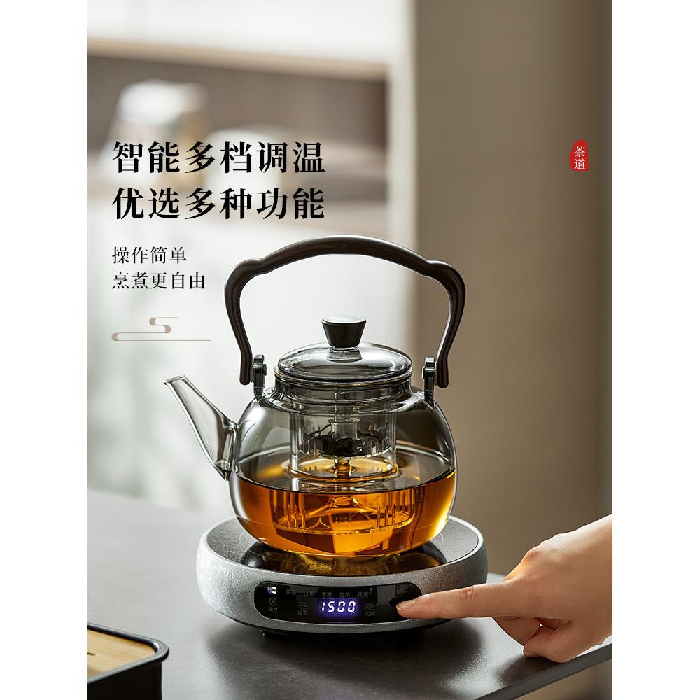 煮茶壶陶炉装套耐高温玻璃家烧水壶用养生茶电壶茶具套装TBT新款