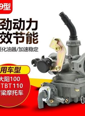 弯梁摩托车配件TBT110大阳DY100通用华薄龙化油器 PZ19化油器总成