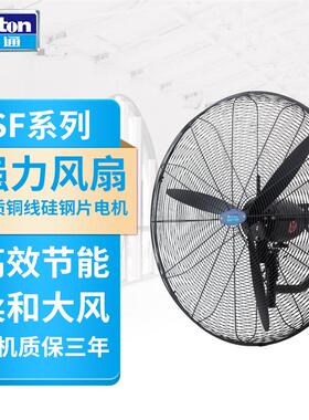 工业风扇壁挂扇挂墙式强力风扇220V单速可摇头牛角扇DF650-4