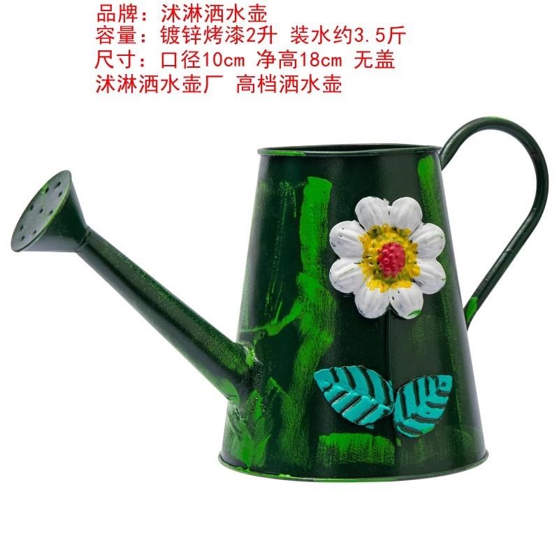 速发洒水壶浇菜家用不锈钢洒水壶白铁浇花壶农用浇菜长嘴汽车加水