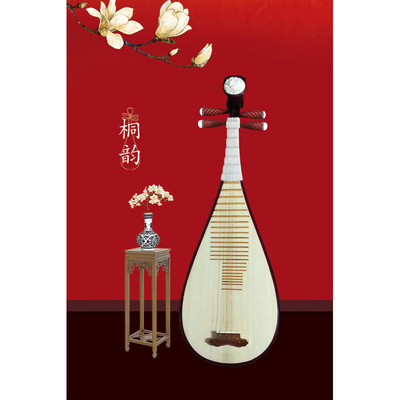 琵琶 桐韵乐器/红木轴白相儿童琵琶教学演奏民族乐器