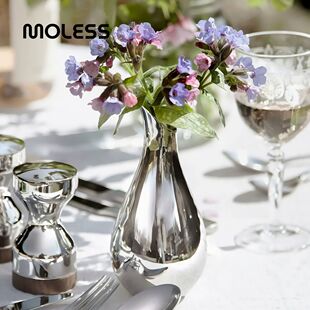 MOLESS 北欧轻奢不锈钢花瓶摆件客厅茶几桌面软装插花器乔迁礼