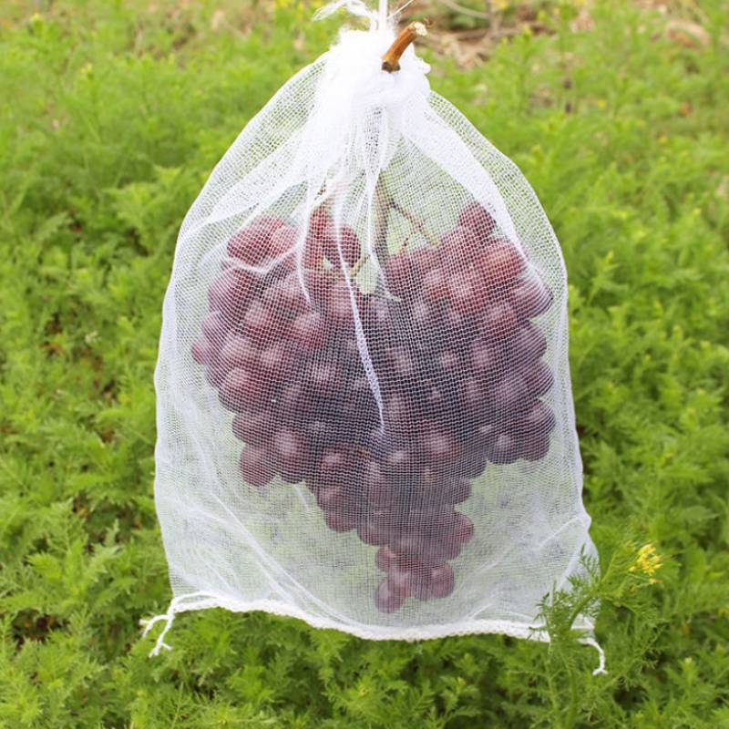 果树防虫网袋防鸟纱网袋保护葡萄袋无花果番石榴莓套袋桃子套袋